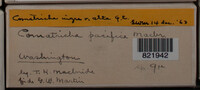 Image Associated With the Occurence